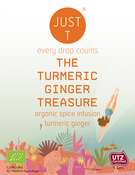 THE TURMERIC GINGER TREASURE