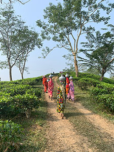 LIFEBRANDS@Jalinga Tea Run – ein Rückblick